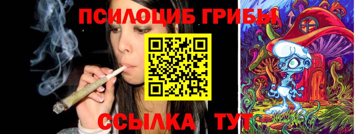 Дальнереченск  Галлюциногенные грибы ЛСД  Галлюциногенные грибы мухоморы  Вход с VPN 