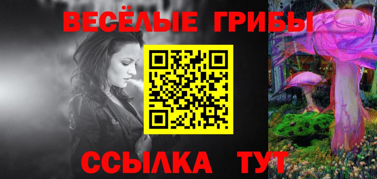 Псилоцибиновые грибы GOLDEN TEACHER Дальнереченск